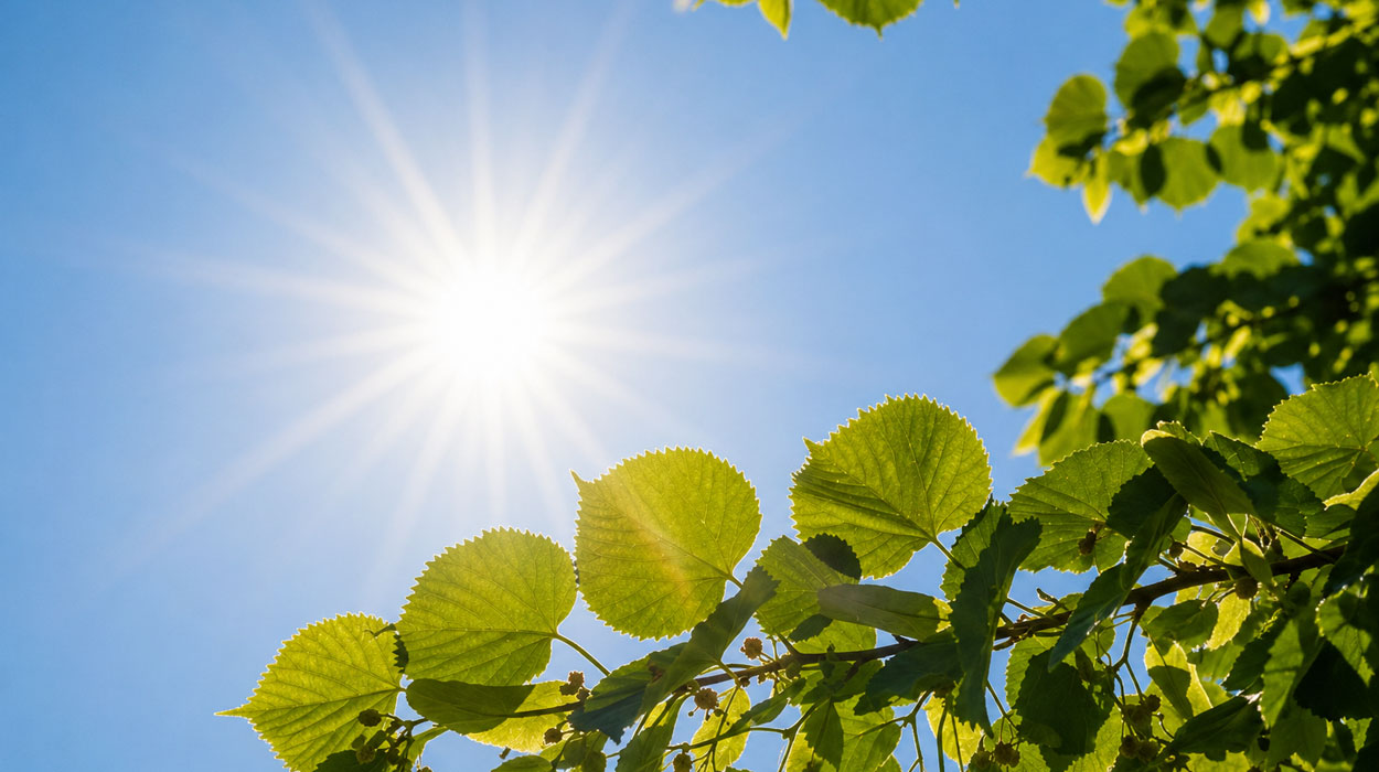 Жара усилится до +39°: синоптики представили прогноз погоды на ближайшие дни для Полтавской области