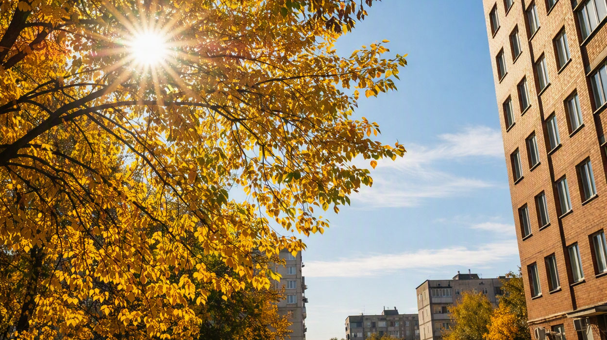 Тепло до +22°: синоптики дали прогноз погоды на конец сентября